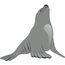 download Sea Lion clipart image with 45 hue color