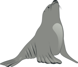 Sea Lion