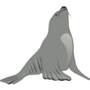 Sea Lion