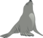 Sea Lion