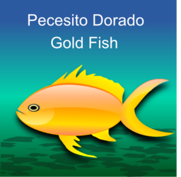 Pez Dorado Gold Fish