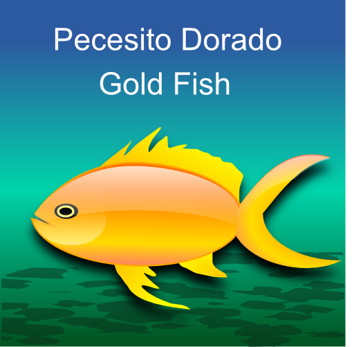 Pez Dorado Gold Fish