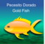 Pez Dorado Gold Fish