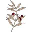 download Olive Branch clipart image with 315 hue color