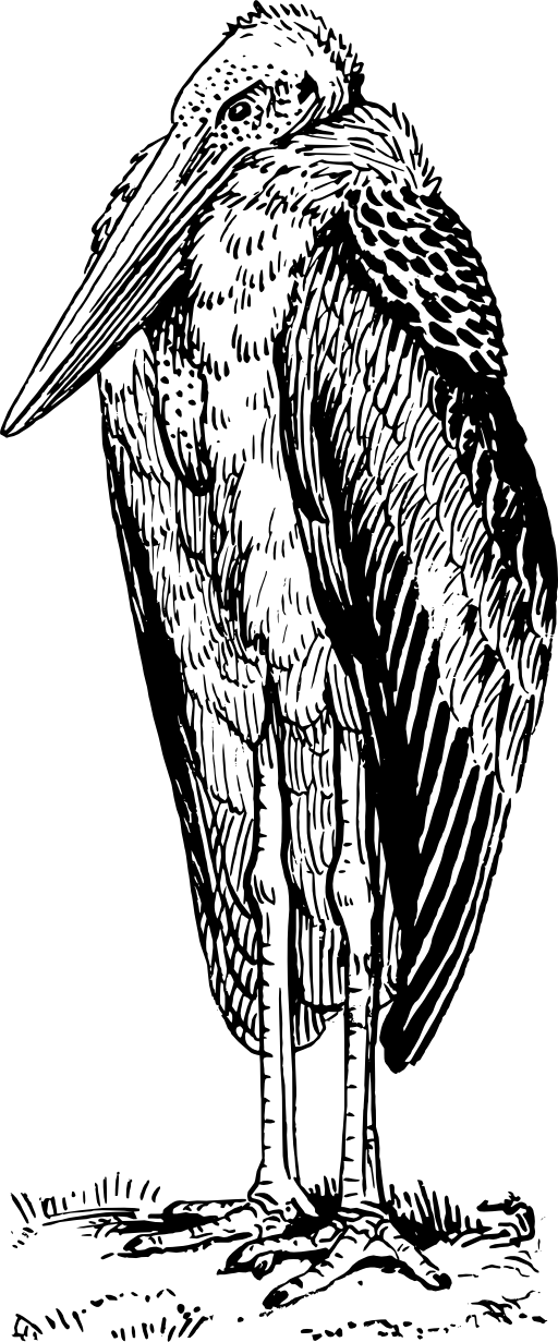 Adjutant