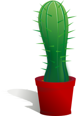 Cactus