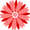 download Flower clipart image with 0 hue color