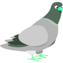 download Pigeon clipart image with 135 hue color