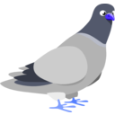 download Pigeon clipart image with 225 hue color