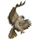 download Hawk Pouncing clipart image with 0 hue color