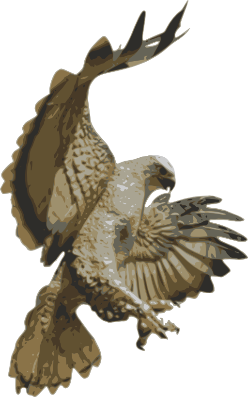 Hawk Pouncing