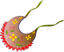 Bib