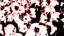 Factory Pork Production