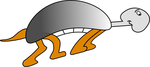 Tortue1