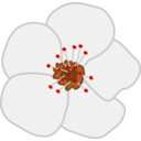 download Cherry Flower clipart image with 315 hue color