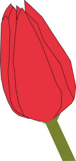 Tulip2