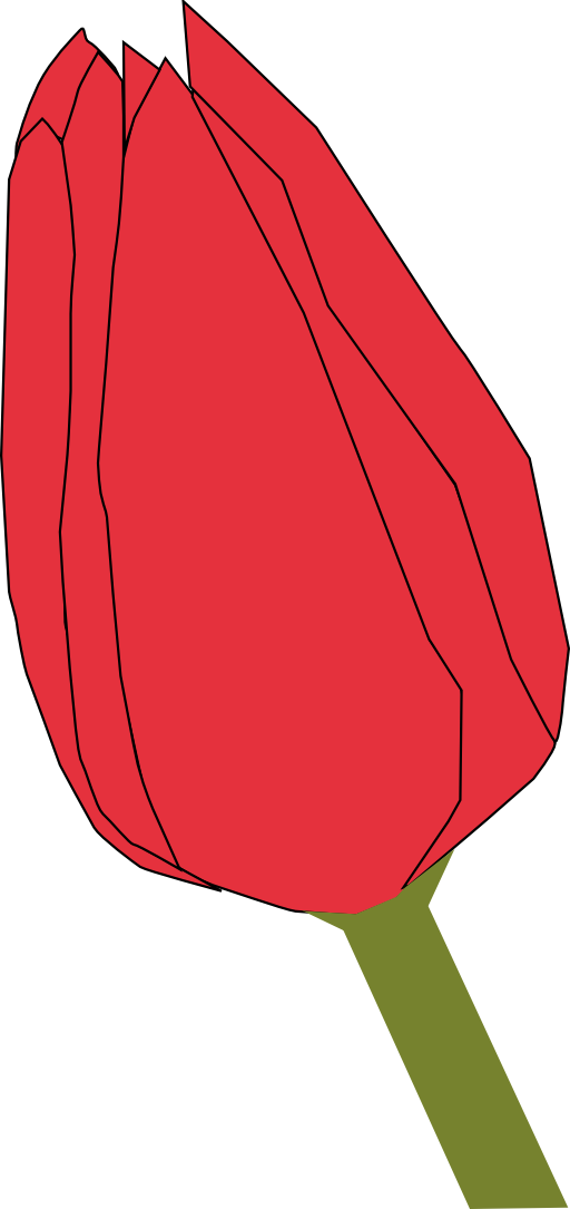 Tulip2