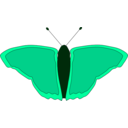 download Orange Butterfly clipart image with 135 hue color