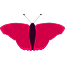 download Orange Butterfly clipart image with 315 hue color