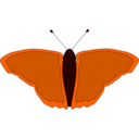 download Orange Butterfly clipart image with 0 hue color