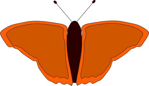 Orange Butterfly