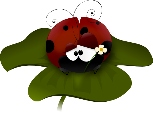 Coccinella