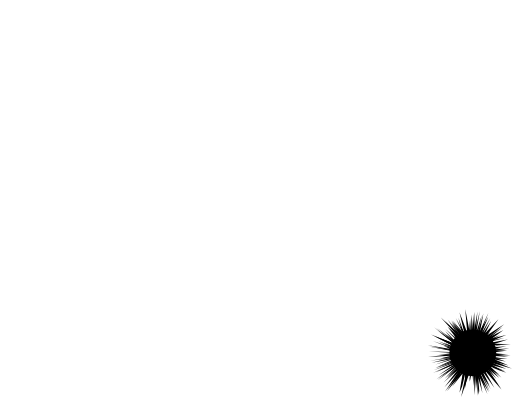 Sea Urchin Silhouette