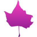 download Maple Leaf clipart image with 270 hue color