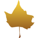 Maple Leaf