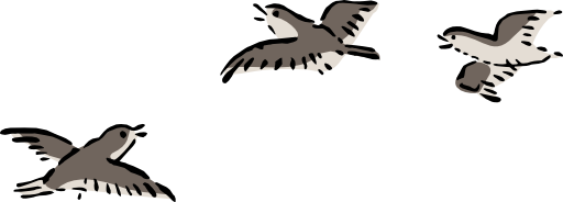 Plovers
