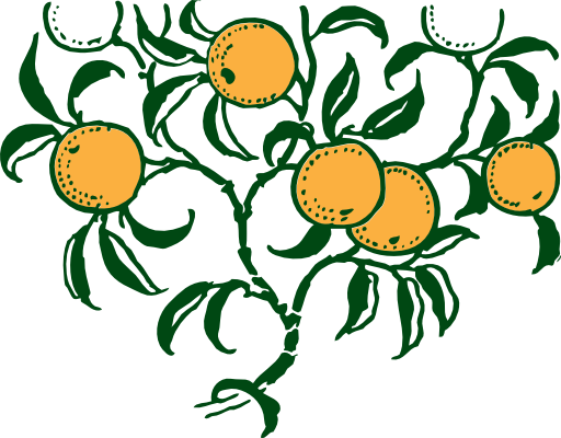 Orange Branch