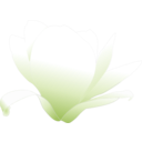 download Magnolia White Patricia 03r clipart image with 45 hue color