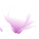 download Magnolia White Patricia 03r clipart image with 270 hue color