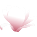 download Magnolia White Patricia 03r clipart image with 315 hue color