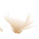 download Magnolia White Patricia 03r clipart image with 0 hue color