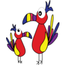 Clown Birds