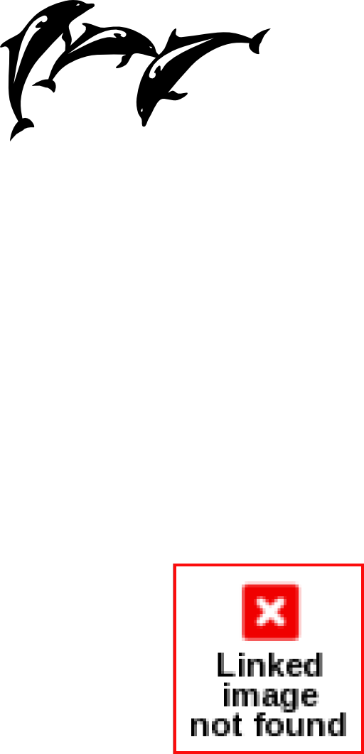 Dolphins