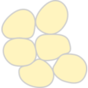 Adipose Tissue