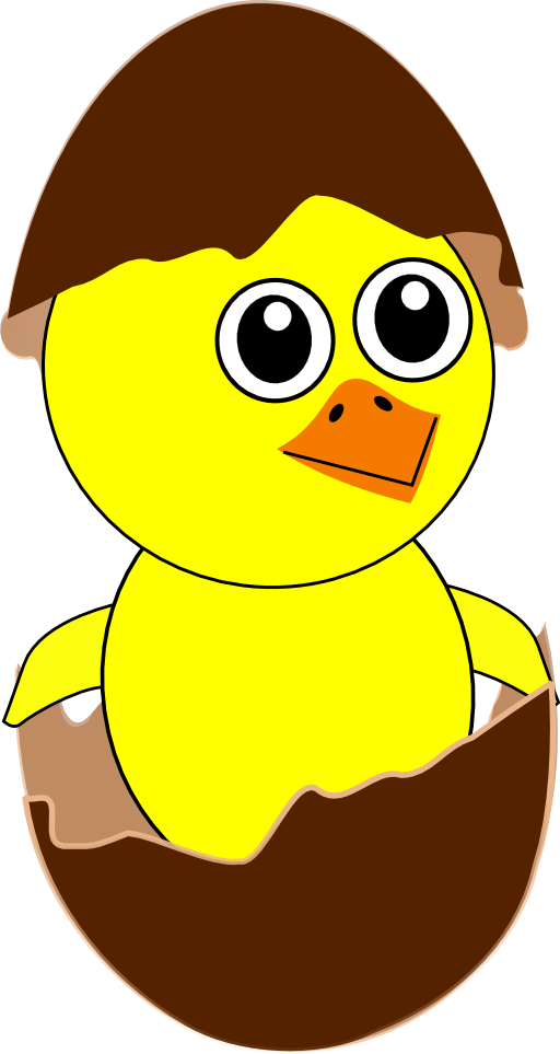 Funny Chick Cartoon Newborn Coming Out From The Egg With A Chocolate Eggshell Hat