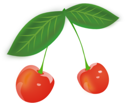 Cherry