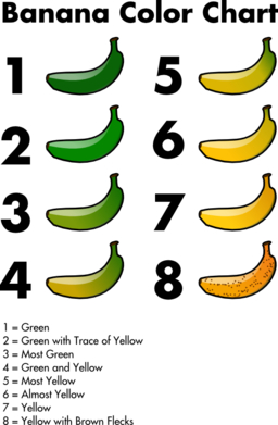 Banana Color Chart