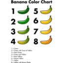 Banana Color Chart