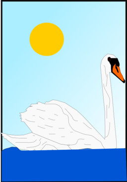 Swan