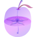 download Appleanatomy clipart image with 225 hue color