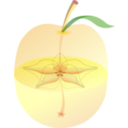 download Appleanatomy clipart image with 0 hue color