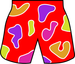 Colorful Beach Shorts