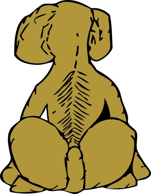Dog Rear View