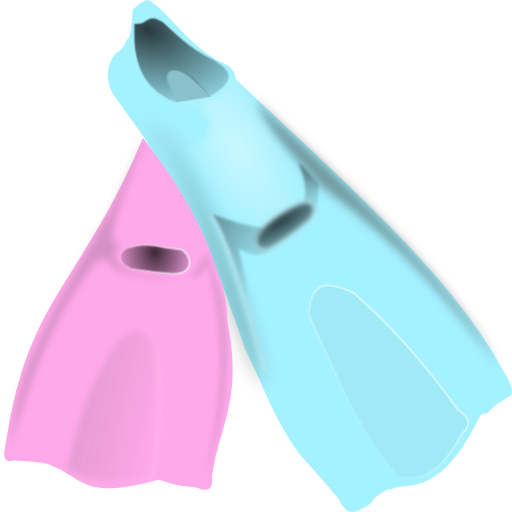 Flippers