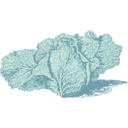 download Jersey Cabbage clipart image with 45 hue color