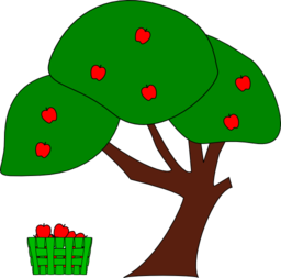 Apple Tree